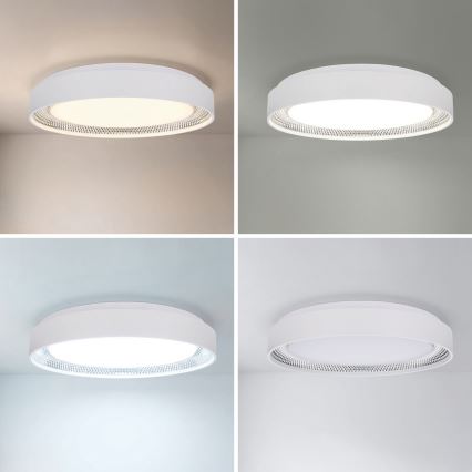 Brilagi - LED hämardatav laelamp WALDO LED/48W/230V 3000-6500K läbimõõt 40 cm valge/hõbedane + kaugjuhtimispult