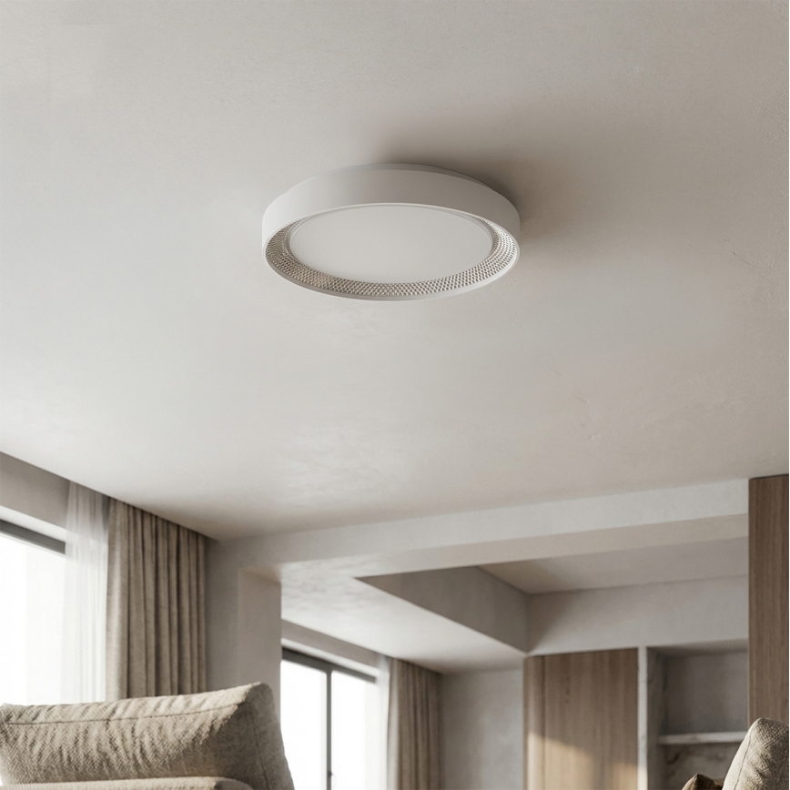 Brilagi - LED hämardatav laelamp WALDO LED/48W/230V 3000-6500K läbimõõt 40 cm valge/hõbedane + kaugjuhtimispult