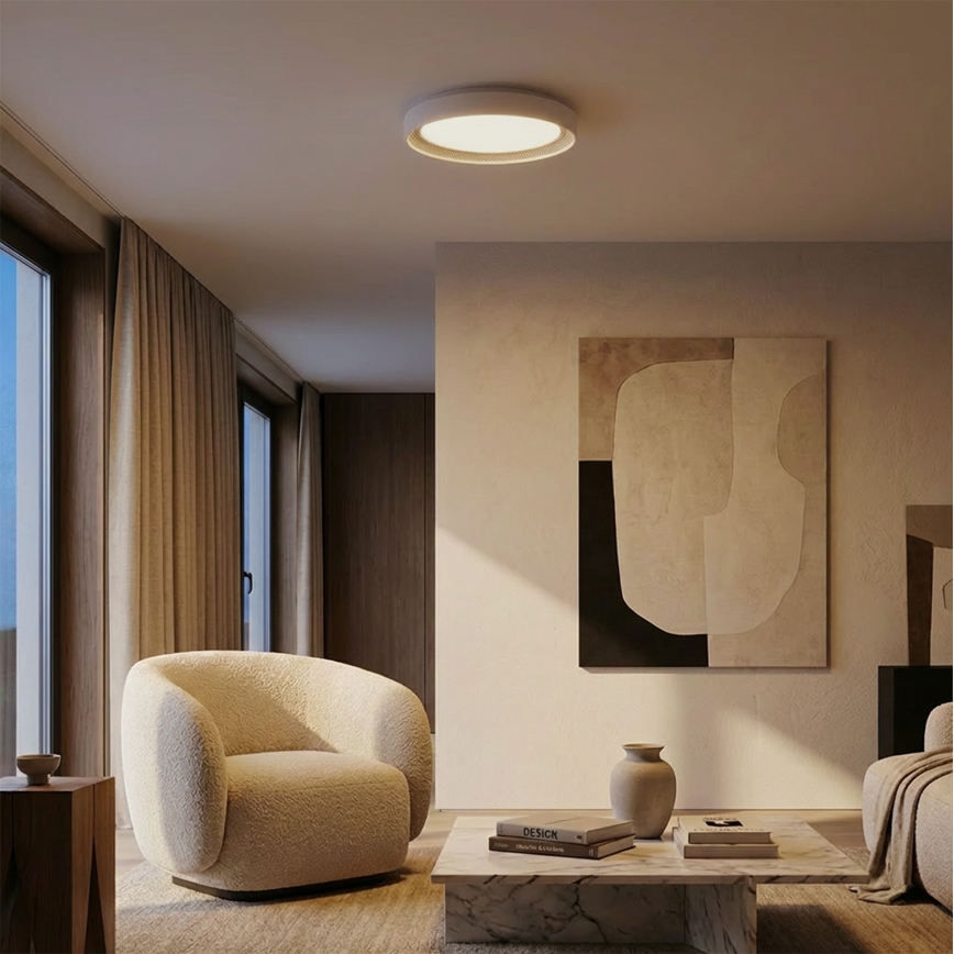 Brilagi - LED hämardatav laelamp WALDO LED/48W/230V 3000-6500K läbimõõt 40 cm valge/hõbedane + kaugjuhtimispult