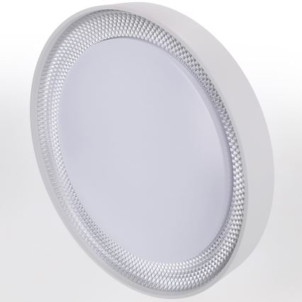 Brilagi - LED hämardatav laelamp WALDO LED/48W/230V 3000-6500K läbimõõt 40 cm valge/hõbedane + kaugjuhtimispult