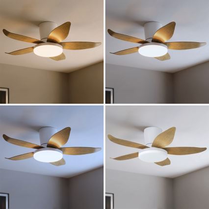 Brilagi - Hämardatav LED-laeventilaator LED/32W/230V 95 cm valge/pruun + kaugjuhtimispult