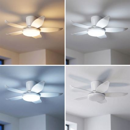 Brilagi - LED hämardatav laeventilaator LED/32W/230V läbimõõt 95 cm valge + kaugjuhtimispult