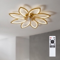 Brilagi - LED-hämardatav laeventilaator LED/43W/230V läbimõõt 90 cm kuldne + kaugjuhtimispult