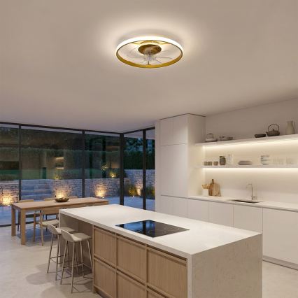 Brilagi - LED hämardatav laeventilaator LED/66W/230V 55 cm valge/kuldne + kaugjuhtimispult