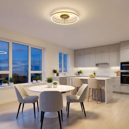 Brilagi - LED-hämardatav laeventilaator, 66 W, 230 V, 3000–6500 K, Ø 55 cm, valge/kuldne + kaugjuhtimispult