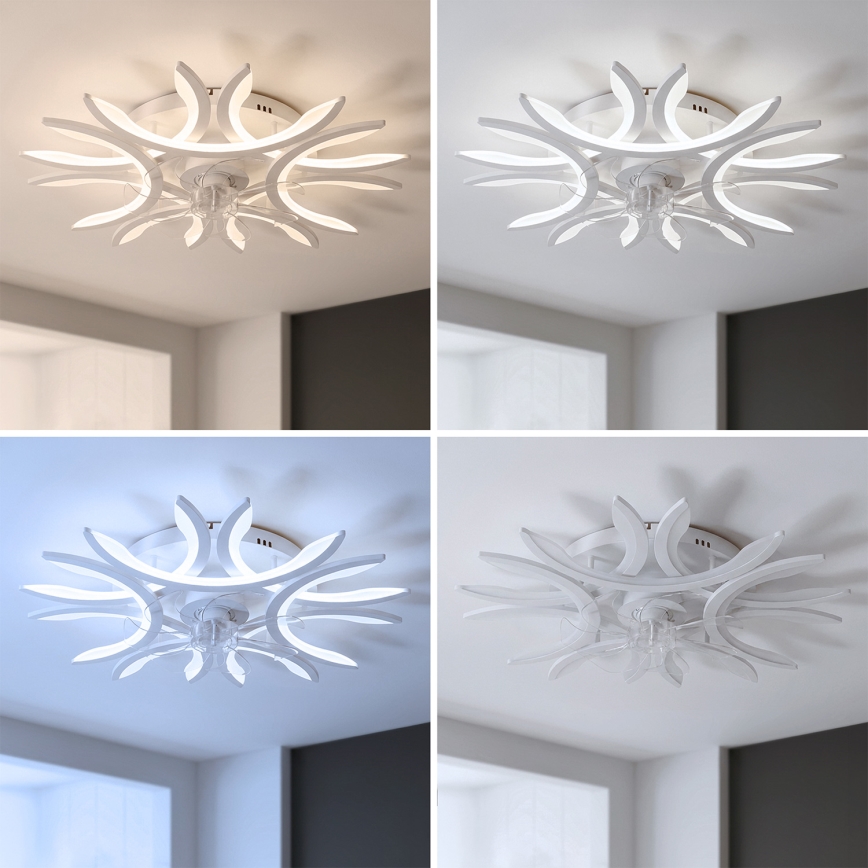 Brilagi - Hämardatav LED-laeventilaator LED/70W/230V 3000-6500K läbimõõt 76 cm valge + kaugjuhtimispult