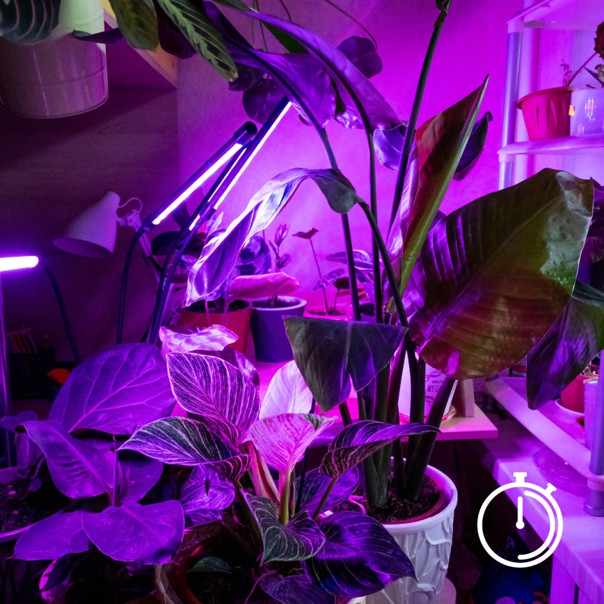 Brilagi - LED Hämardatav paindlik laualamp klambriga taimede kasvatamiseks VITABLOOM 3xLED/10W/230V must