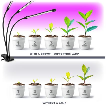 Brilagi - LED Hämardatav paindlik laualamp klambriga taimede kasvatamiseks VITABLOOM 3xLED/10W/230V must