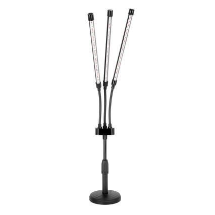 Brilagi - LED Hämardatav paindlik laualamp taimede kasvatamiseks VITABLOOM 3xLED/10W/230V must