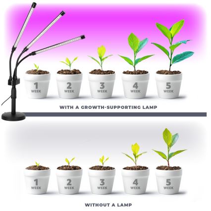 Brilagi - LED Hämardatav paindlik laualamp taimede kasvatamiseks VITABLOOM 3xLED/10W/230V must