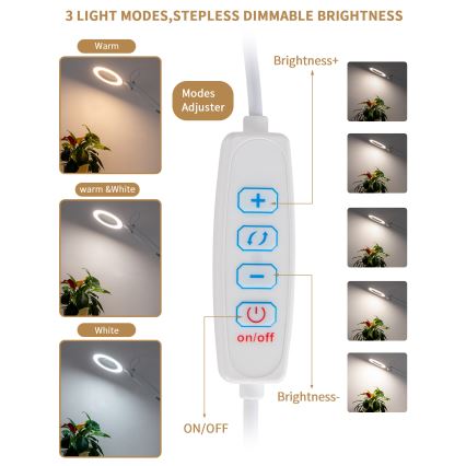 Brilagi - LED Hämardatav laualamp koos luubiga LENS LED/12W/5V 3000/4200/6000K valge