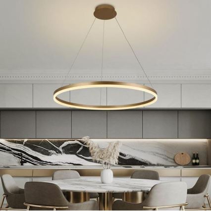 Brilagi - LED Hämardatav lühter CIRCLE LED/55W/230V 3000-6500K kuldne + kaugjuhtimispult