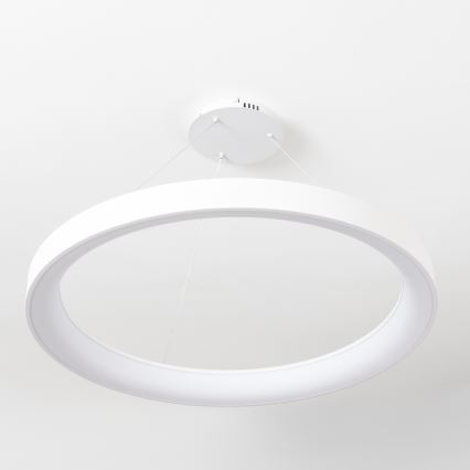 Brilagi - Hämardatav LED-ripplamp kaablil FALCON II LED/108W/230V 3000-6500K, läbimõõt 80 cm, valge + kaugjuhtimispult