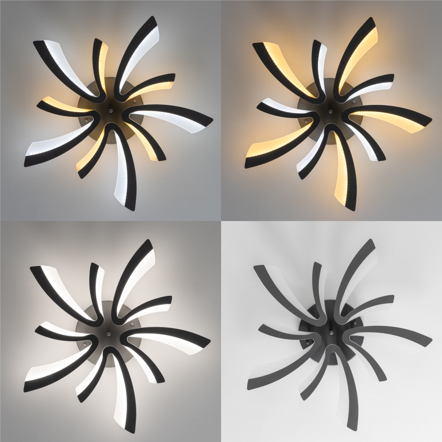 Brilagi - LED Hämardatav pinnale kinnitatav lühter TWIST LED/55W/230V 3000-6500K antratsiit + kaugjuhtimispult