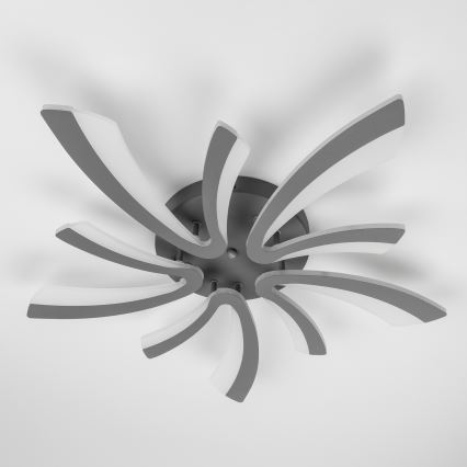 Brilagi - LED Hämardatav pinnale kinnitatav lühter TWIST LED/55W/230V 3000-6500K antratsiit + kaugjuhtimispult