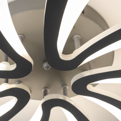Brilagi - LED Hämardatav pinnale kinnitatav lühter TWIST LED/55W/230V 3000-6500K antratsiit + kaugjuhtimispult