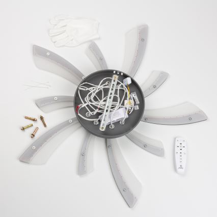 Brilagi - LED Hämardatav pinnale kinnitatav lühter TWIST LED/55W/230V 3000-6500K antratsiit + kaugjuhtimispult