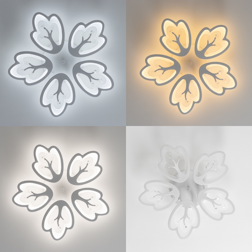 Brilagi - LED Hämardatav pinnale kinnitatav lühter TWIST LED/80W/230V 3000-6500K valge + kaugjuhtimispult