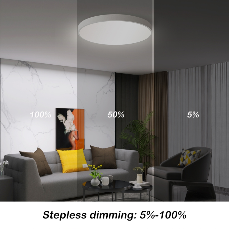 Brilagi - POOL SMART LED hämardatav laelamp LED/60W/230V 50 cm 3000-6000K Wi-Fi Tuya + kaugjuhtimispult valge