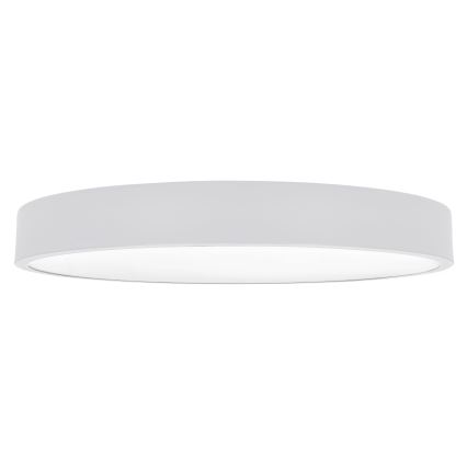 Brilagi - POOL SMART LED hämardatav laelamp LED/60W/230V 50 cm 3000-6000K Wi-Fi Tuya + kaugjuhtimispult valge