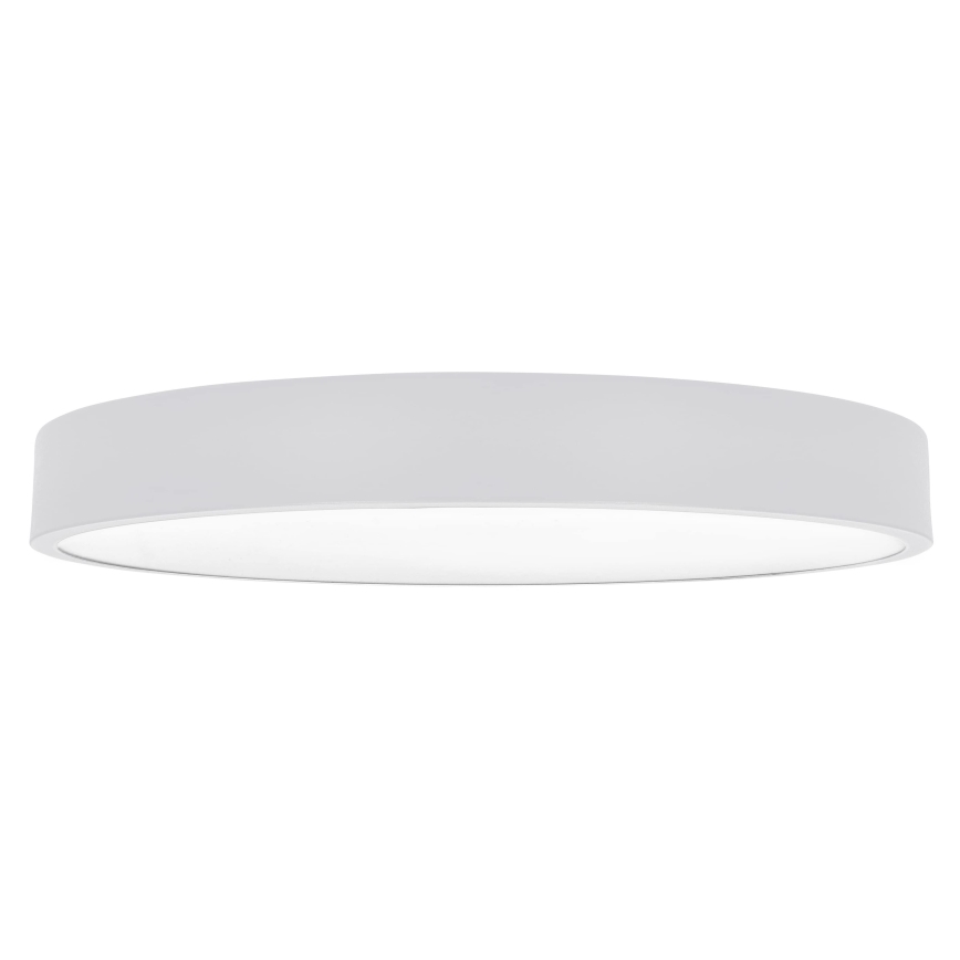 Brilagi - POOL SMART LED hämardatav laelamp LED/60W/230V 50 cm 3000-6000K Wi-Fi Tuya + kaugjuhtimispult valge