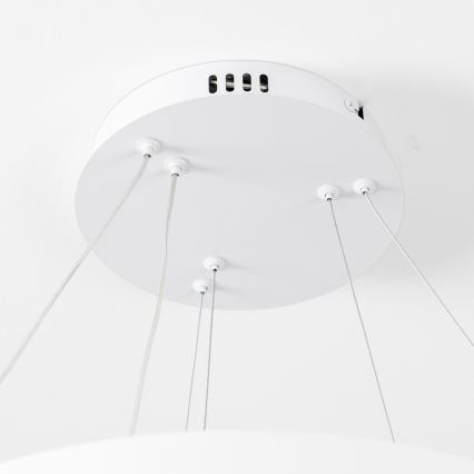 Brilagi - hämardatav LED-rippvalgusti juhtmel FALCON SLIM LED/68W/230V 3000-6500K Ø 50 cm valge + kaugjuhtimispult