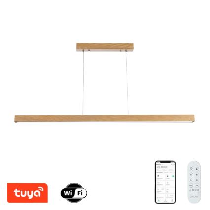 Brilagi - LED hämardatav ripplamp köiel OAK SMART LED/30W/230V Wi-Fi Tuya tamm + kaugjuhtimispult
