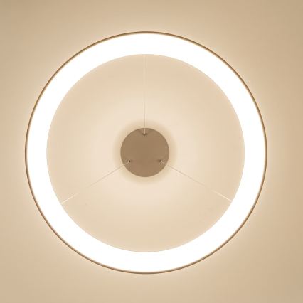 BRILAGI - LED Hämardatav ripplühter kaablil FALCON II LED/108W/230V 3000-6500K läbimõõt 80 cm beež + kaugjuhtimispult