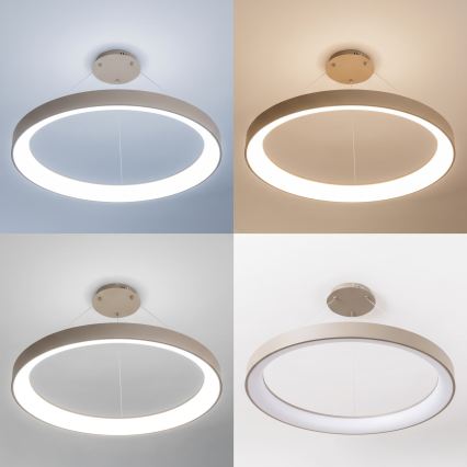 BRILAGI - LED Hämardatav ripplühter kaablil FALCON II LED/108W/230V 3000-6500K läbimõõt 80 cm beež + kaugjuhtimispult