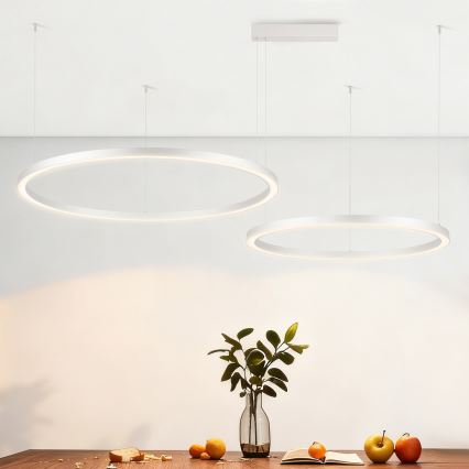 Brilagi - LED hämardatav rippvalgusti köiel PORTOFINO LED/98W/230V 3000-6000K hõbedane + kaugjuhtimispult