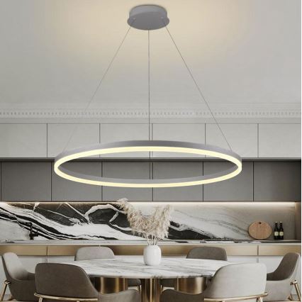 Brilagi - CIRCLE hämardatav LED-rippvalgusti kaabliga LED/55W/230V 3000-6500K läbimõõt 80 cm hõbedane + kaugjuhtimispult