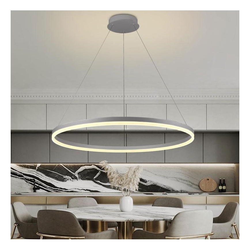 Brilagi - CIRCLE hämardatav LED-rippvalgusti kaabliga LED/55W/230V 3000-6500K läbimõõt 80 cm hõbedane + kaugjuhtimispult