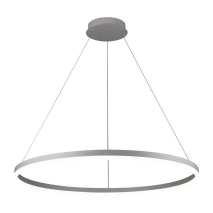 Brilagi - CIRCLE hämardatav LED-rippvalgusti kaabliga LED/55W/230V 3000-6500K läbimõõt 80 cm hõbedane + kaugjuhtimispult