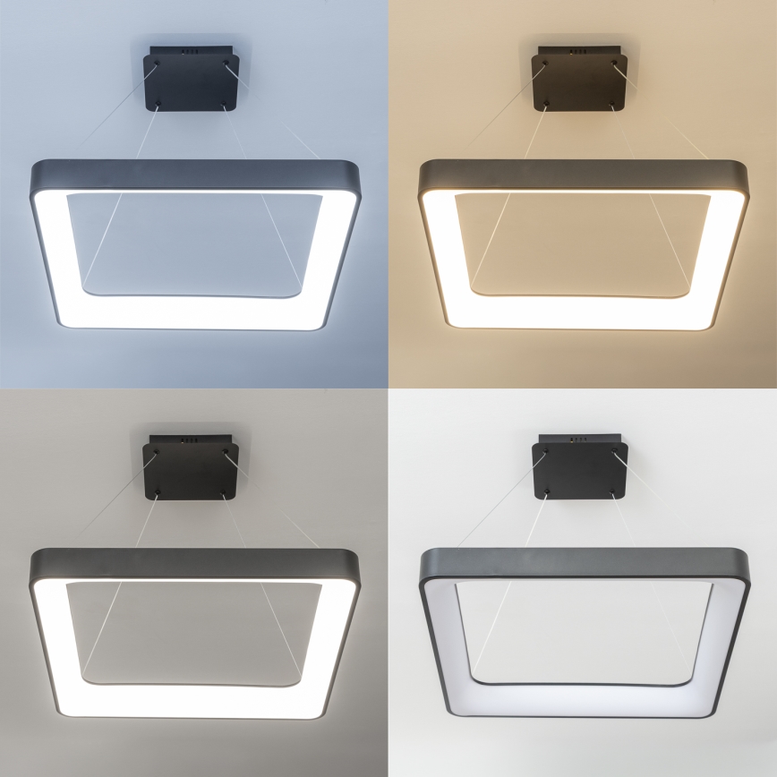 Brilagi - LED-hämardatav kaabliga rippvalgusti FALCON II LED/125W/230V 3000-6500K 60x60 cm must + kaugjuhtimispult