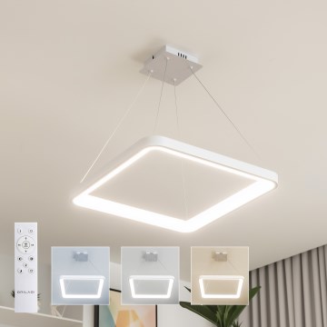 Brilagi - LED-hämardatav rippvalgusti kaabliga FALCON SLIM LED/50W/230V 3000-6500K 50x50 cm valge + kaugjuhtimispult