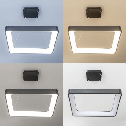 Brilagi - LED hämardatav rippvalgusti kaablil FALCON II LED/125W/230V 3000-6500K 60x60 cm must + kaugjuhtimispult