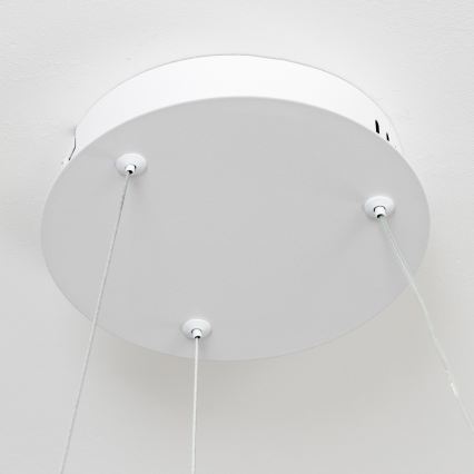 Brilagi - kaabliga riputatav hämardatav LED-rippvalgusti FALCON II LED/67W/230V 3000-6500K läbimõõt 40 cm valge + kaugjuhtimispult