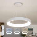BRILAGI - LED hämardatav rippvalgusti kaablil FALCON II LED/99W/230V 3000-6500K läbimõõt 60 cm valge + kaugjuhtimispult