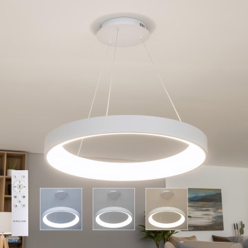 BRILAGI - LED hämardatav rippvalgusti kaablil FALCON II LED/99W/230V 3000-6500K läbimõõt 60 cm valge + kaugjuhtimispult