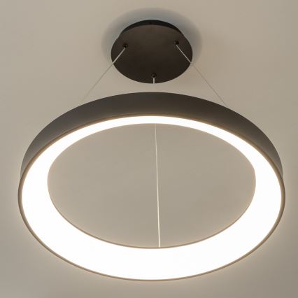BRILAGI - LED-hämardatav kaabliga riputatav laelühter FALCON II LED/99W/230V 3000–6500K läbimõõt 60 cm must + kaugjuhtimispult