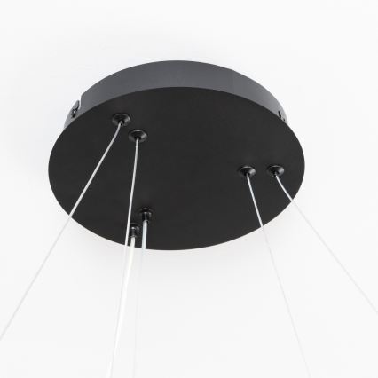 Brilagi - LED-hämardatav rippvalgusti kaablil FALCON SLIM LED/68W/230V 3000-6500K läbimõõt 50 cm must + kaugjuhtimispult