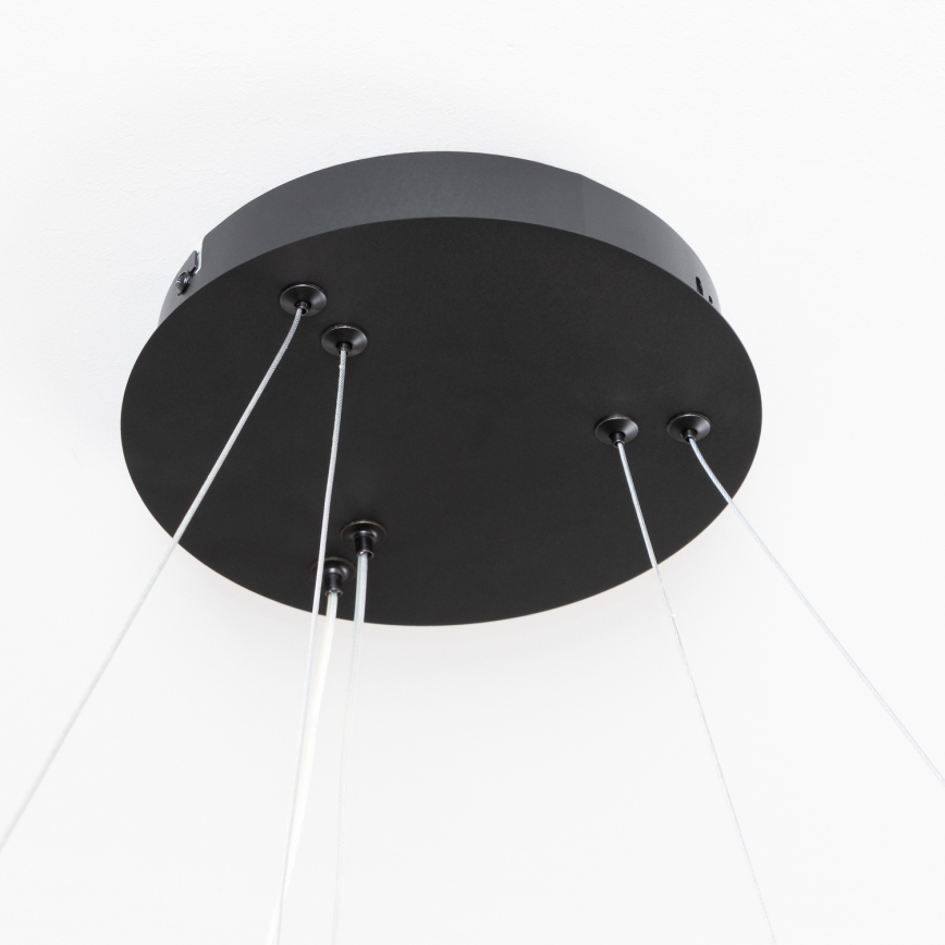 Brilagi - LED-hämardatav rippvalgusti kaablil FALCON SLIM LED/68W/230V 3000-6500K läbimõõt 50 cm must + kaugjuhtimispult