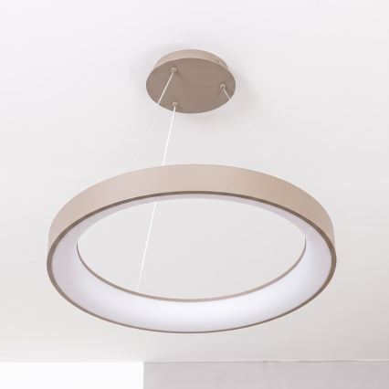 BRILAGI - LED-hämardatav rippvalgusti kaabliga FALCON II LED/99W/230V 3000-6500K läbimõõt 60 cm beež + kaugjuhtimispult