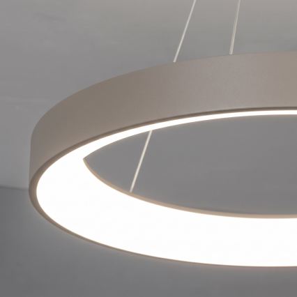 BRILAGI - LED-hämardatav rippvalgusti kaabliga FALCON II LED/99W/230V 3000-6500K läbimõõt 60 cm beež + kaugjuhtimispult