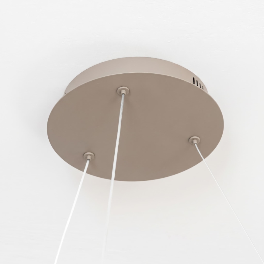 BRILAGI - LED-hämardatav rippvalgusti kaabliga FALCON II LED/99W/230V 3000-6500K läbimõõt 60 cm beež + kaugjuhtimispult