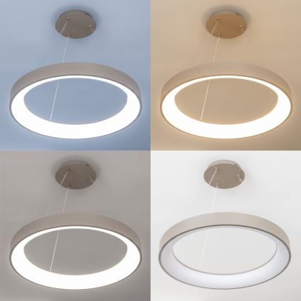BRILAGI - LED-hämardatav rippvalgusti kaabliga FALCON II LED/99W/230V 3000-6500K läbimõõt 60 cm beež + kaugjuhtimispult