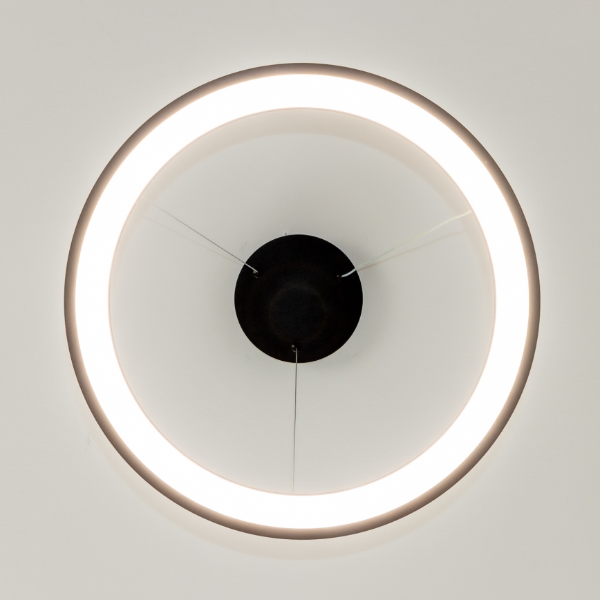 Brilagi - LED-hämardatav rippvalgusti kaablil FALCON SLIM LED/42W/230V 3000-6500K läbimõõt 50 cm must + kaugjuhtimispult