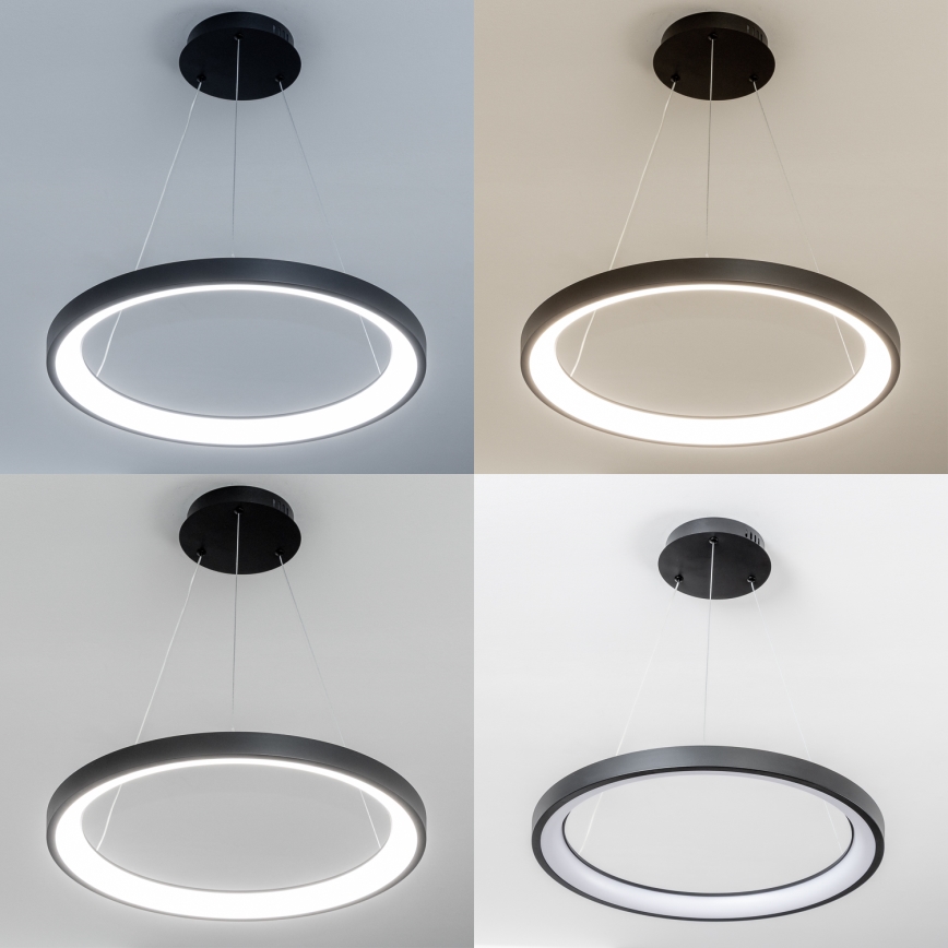 Brilagi - LED-hämardatav rippvalgusti kaablil FALCON SLIM LED/42W/230V 3000-6500K läbimõõt 50 cm must + kaugjuhtimispult