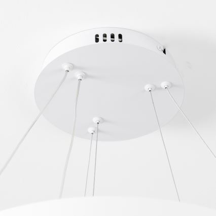 Brilagi - hämardatav LED-riputuslühter kaabliga FALCON SLIM LED/68W/230V 3000-6500K läbimõõt 50 cm valge + kaugjuhtimispult