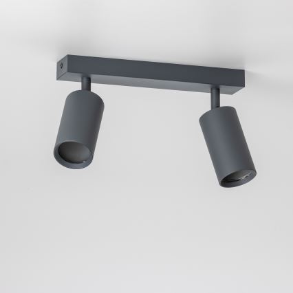 Brilagi - LED-hämardatav suunavalgusti SELE 2xGU10/6,5W/230V 2700-6500K antratsiit